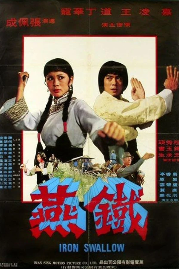 Shaolin Iron Eagle Poster