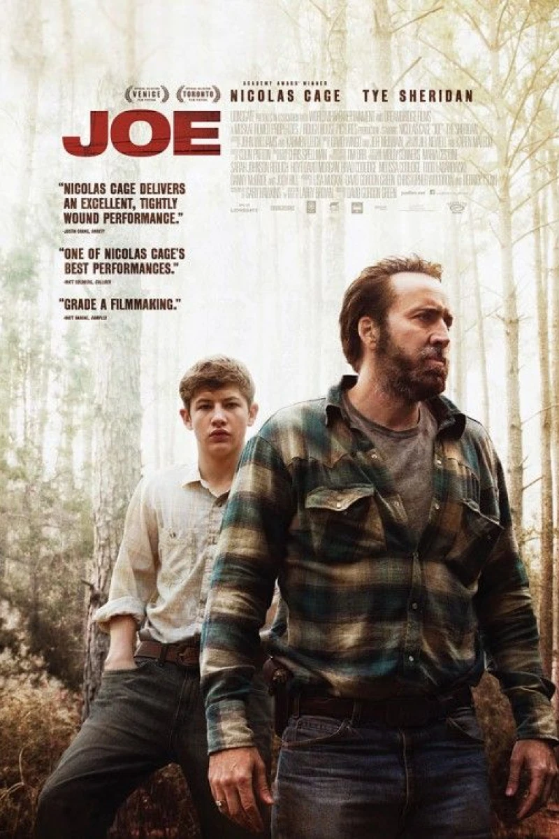 df - Joe (2014) Poster