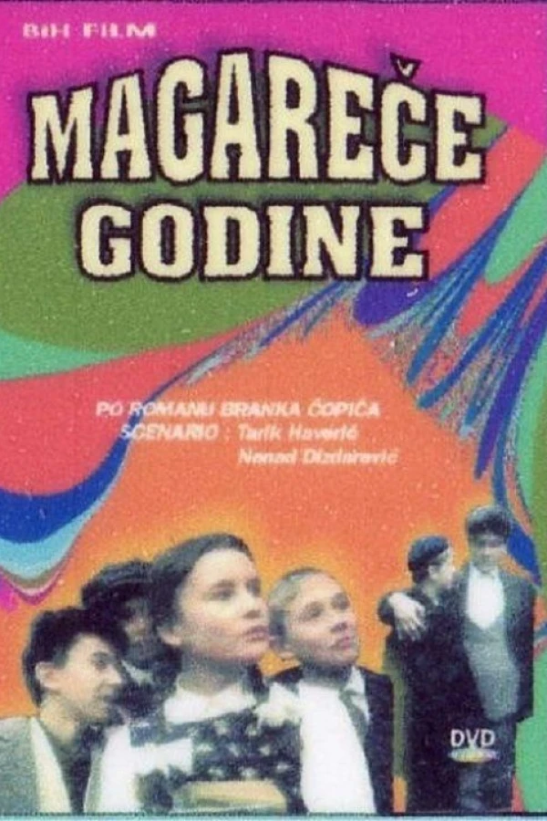 Magarece godine Poster