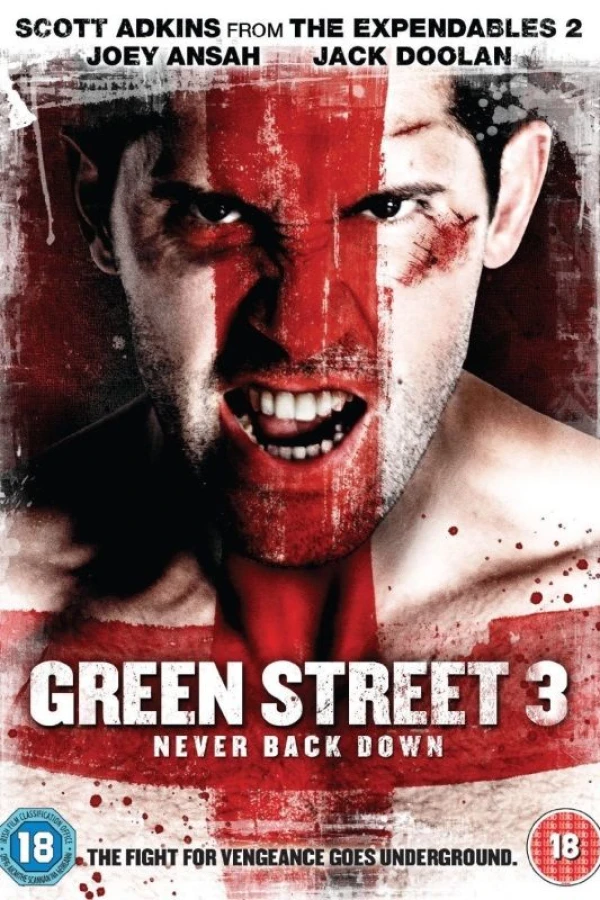 Green Street 3: Never Back Down Poster