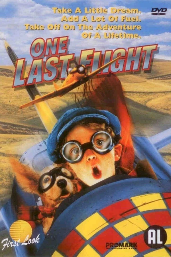 One Last Flight Poster
