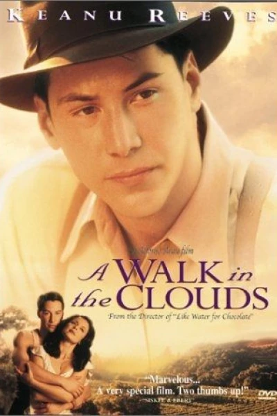 Walk in the Clouds, A