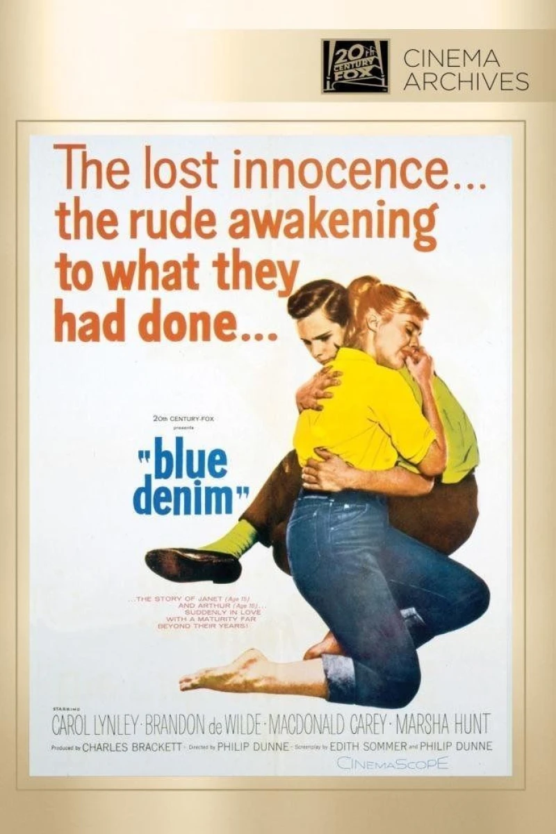 Blue Denim Poster