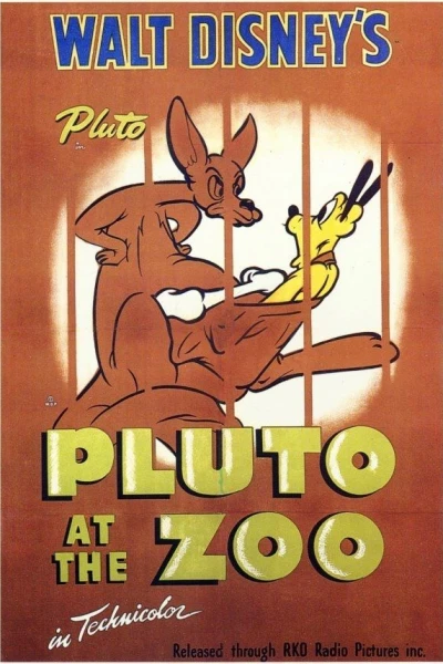 Pluto at the Zoo