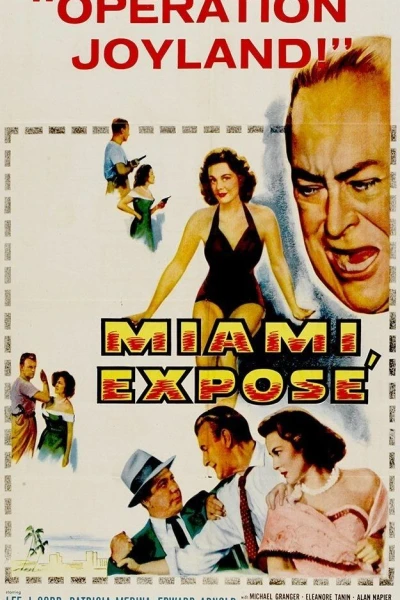 Miami Exposé