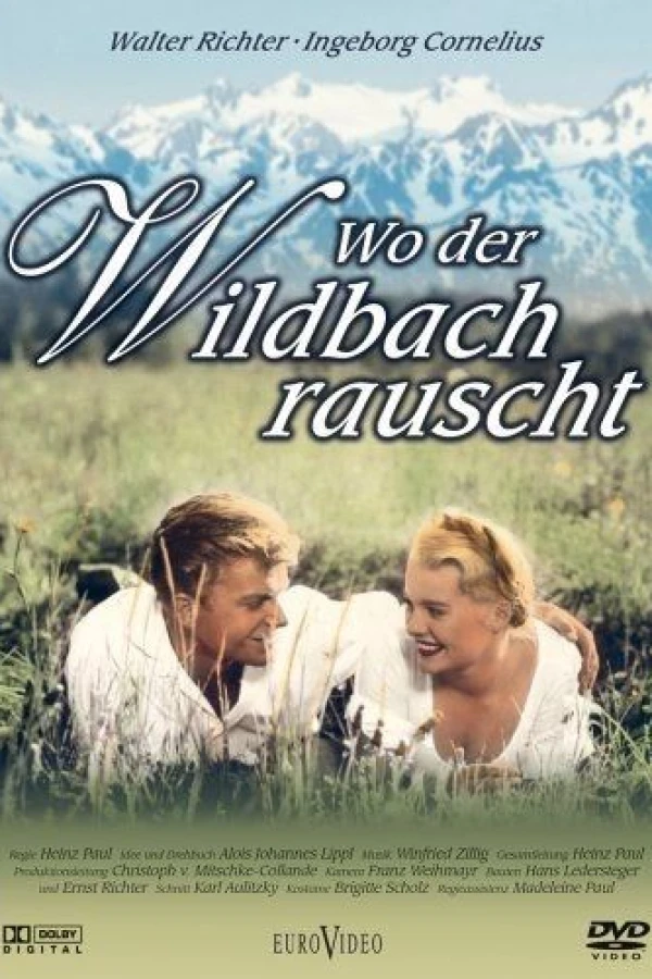 Wo der Wildbach rauscht Poster