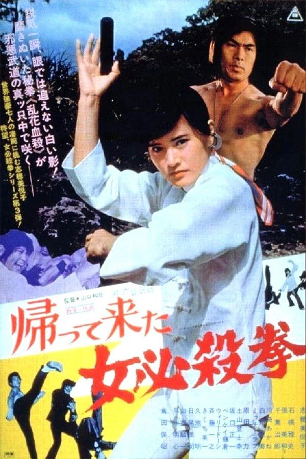 Return of the Sister Street Fighter Poster