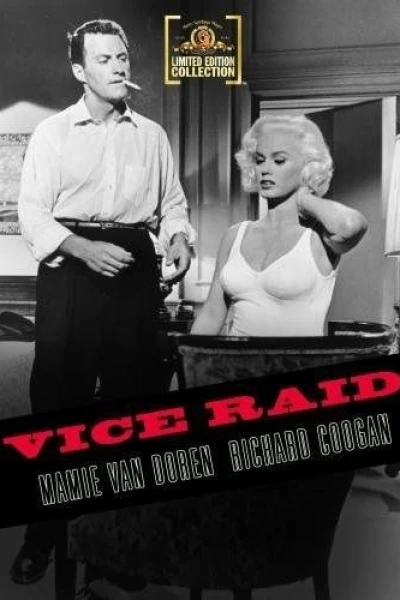 Vice Raid