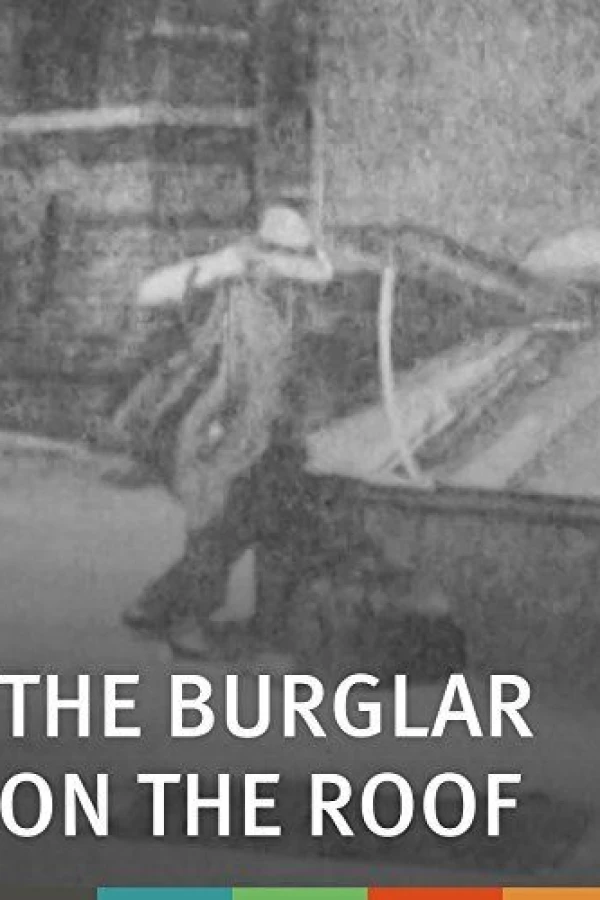 The Burglar on the Roof Poster