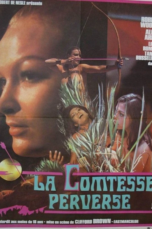 The Evil Countess Poster