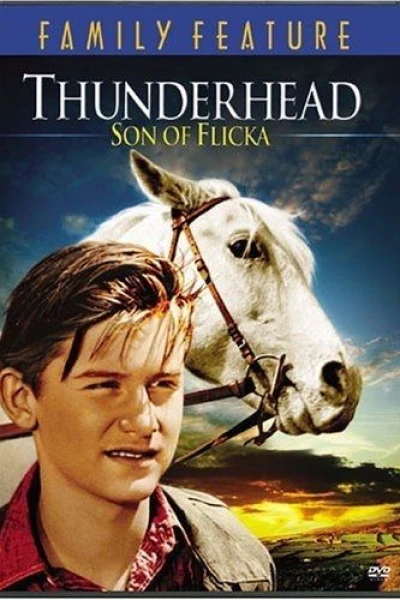 Thunderhead - Son of Flicka