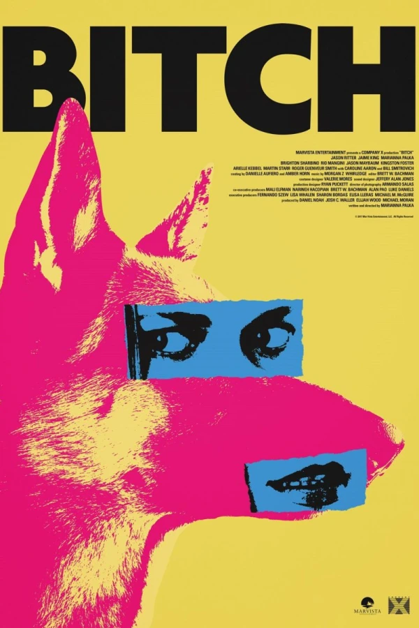 Bitch Poster