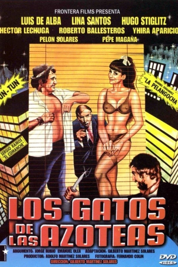 Los gatos de las azoteas Poster