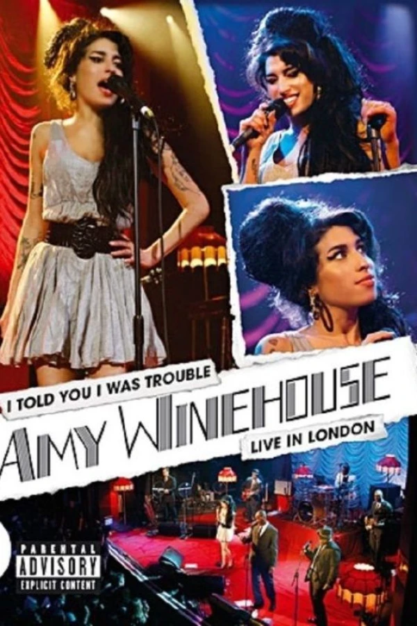 Amy Winehouse: I Told You I Was Trouble Poster