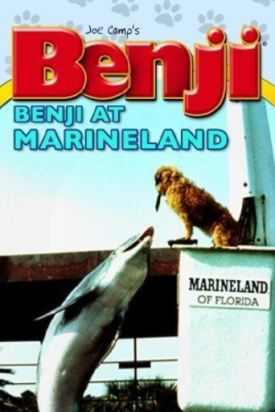 Benji (Takes a Dive) at Marineland