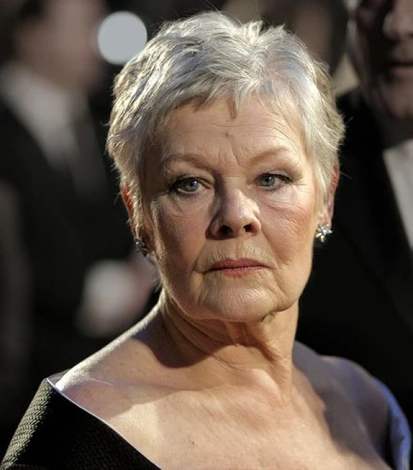 <strong>Dame Judi Dench</strong>. Image by Caroline Bonarde Ucci.