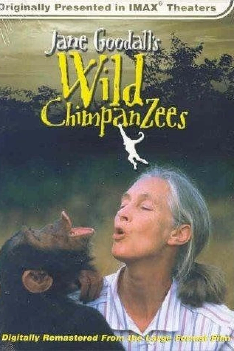 Jane Goodall's Wild Chimpanzees Poster
