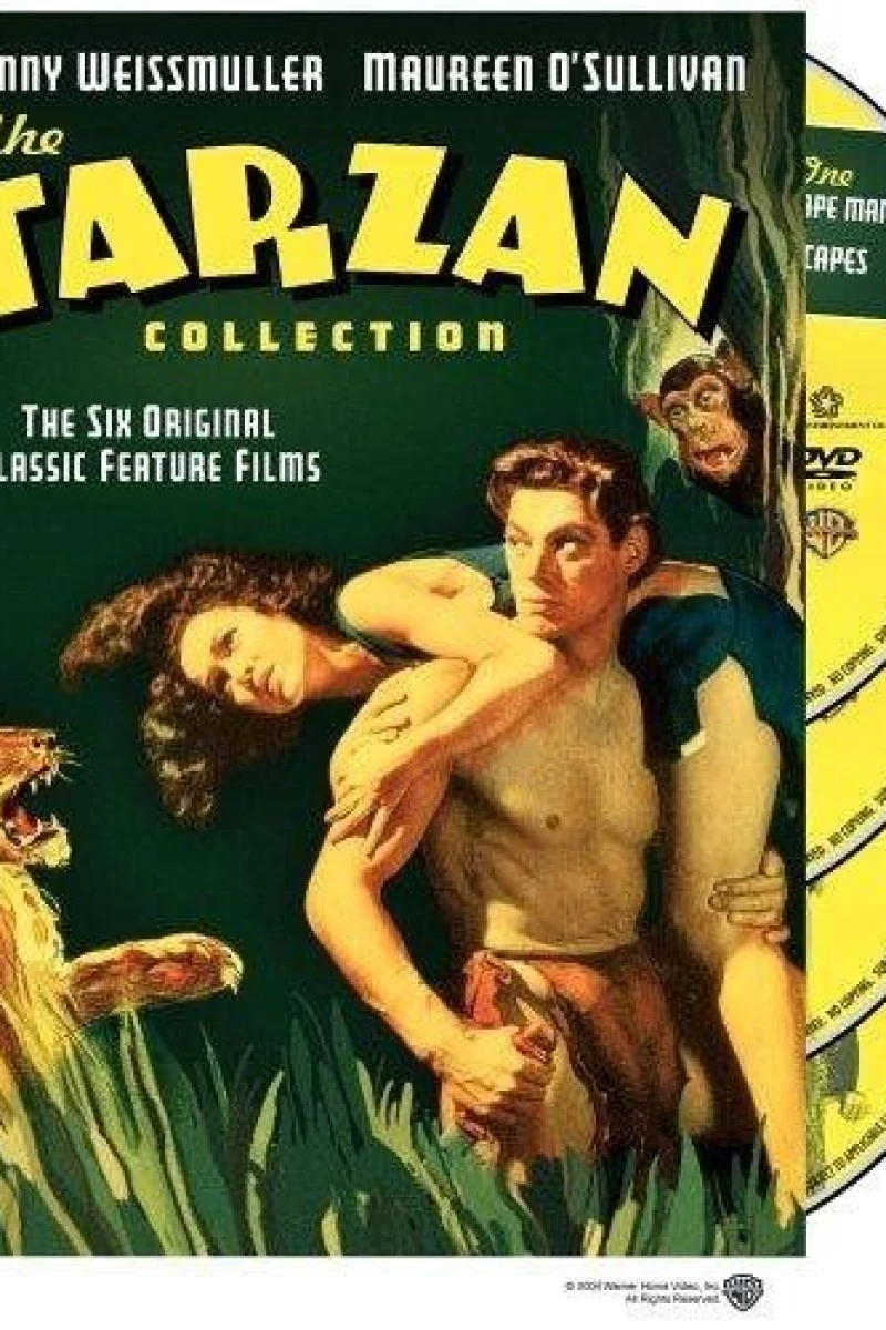 Tarzan Finds a Son! Poster