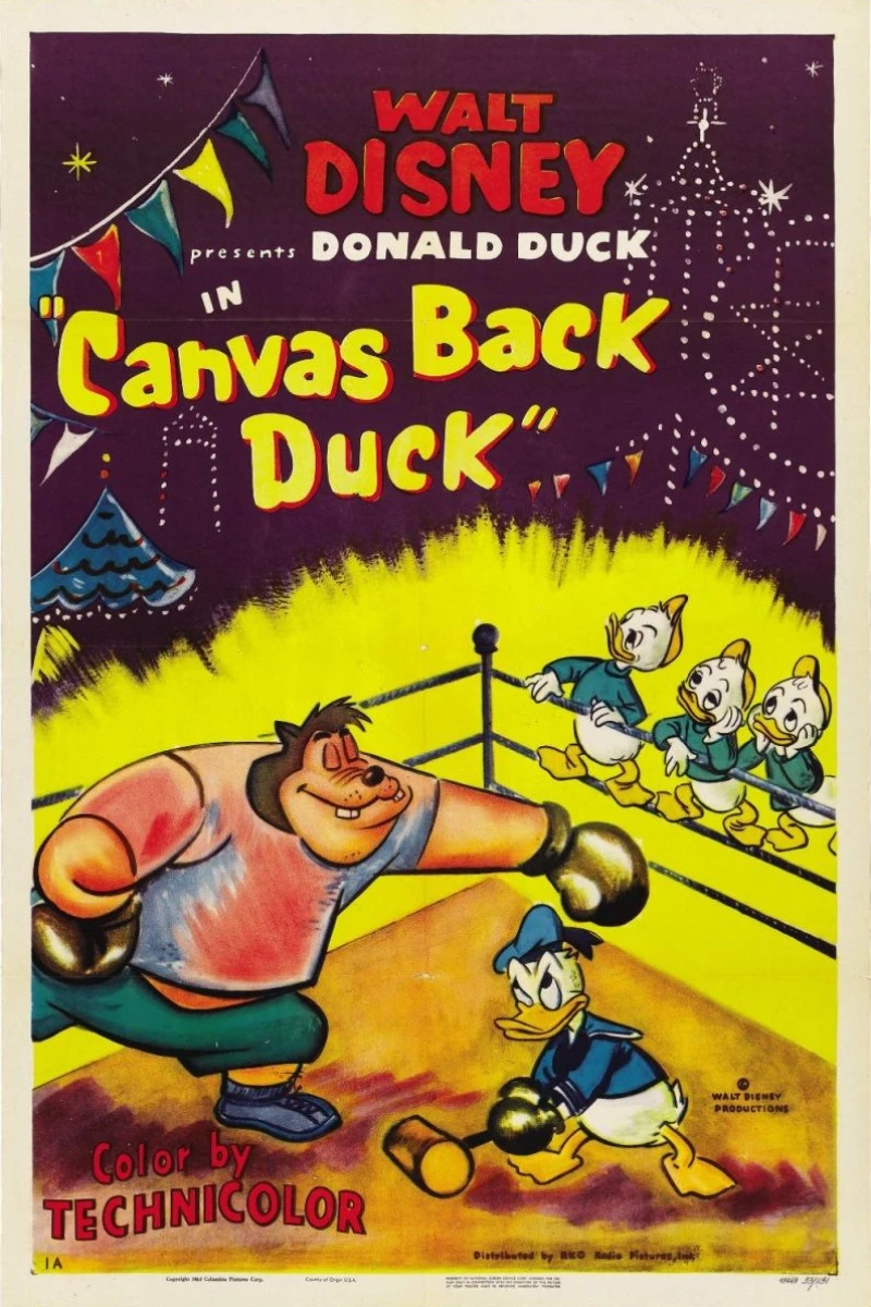 Canvas Back Duck Poster