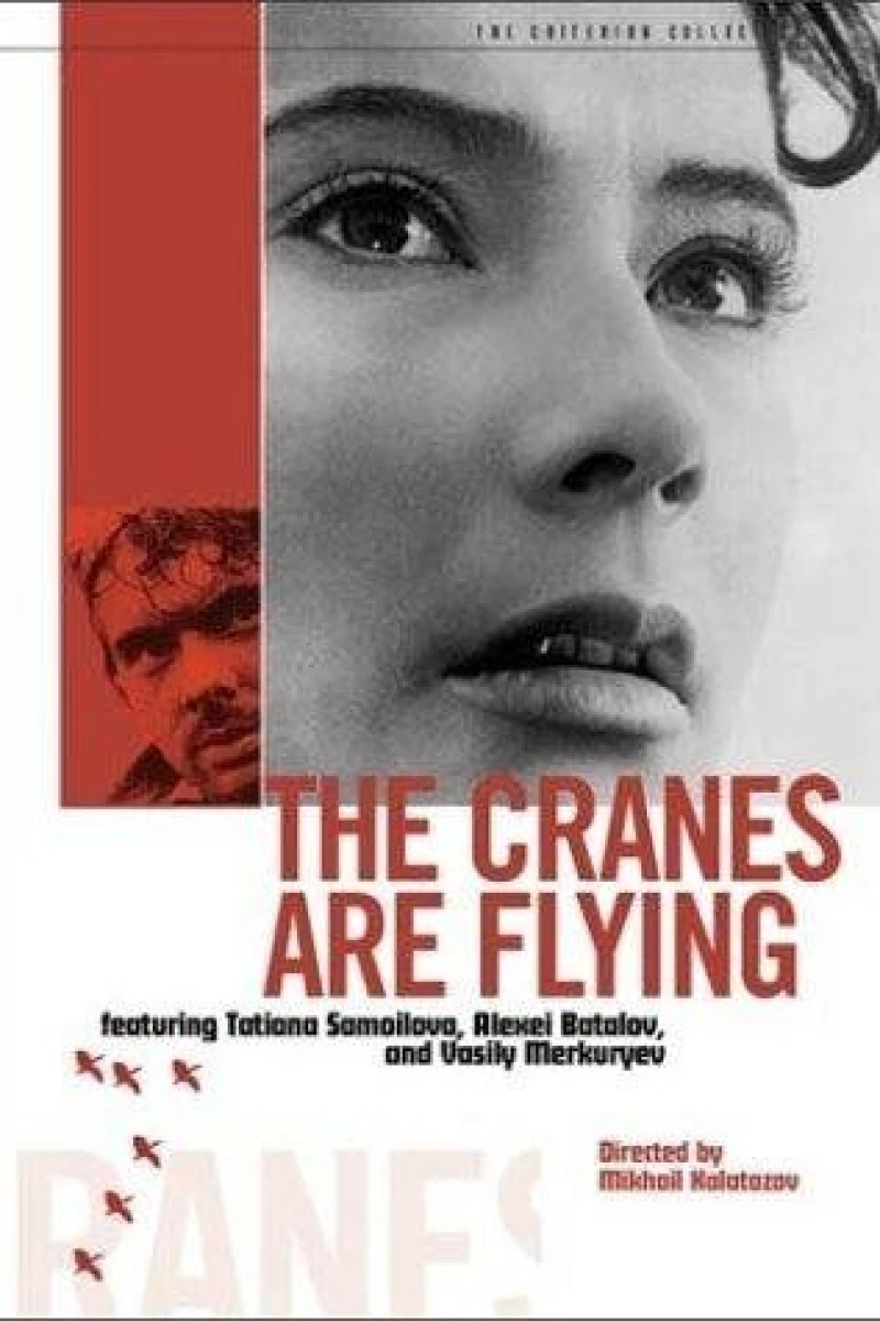 The Cranes Are Flying Poster