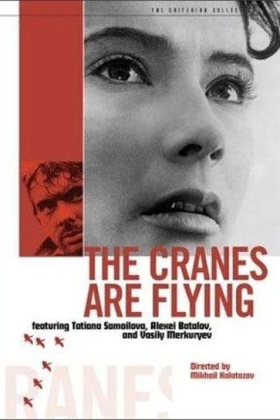 The Cranes Are Flying