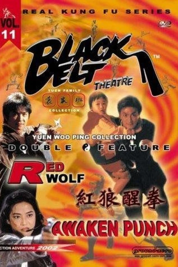 Fury of the Black Belt Poster