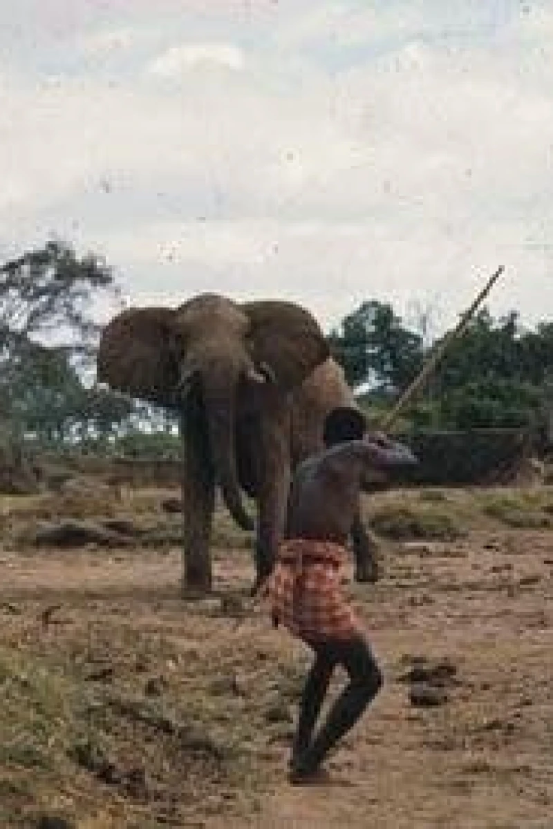 Bloody Ivory Poster