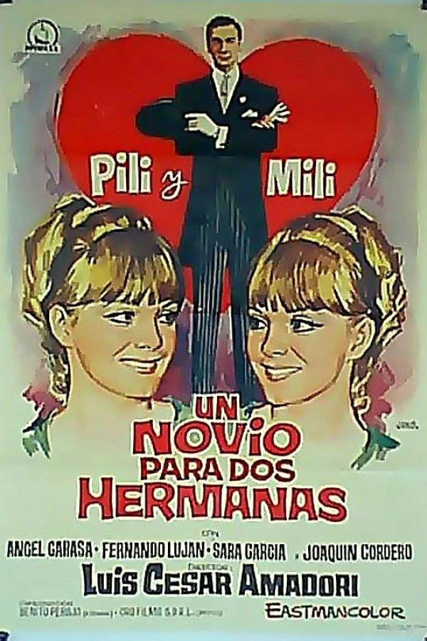 Un novio para dos hermanas Poster