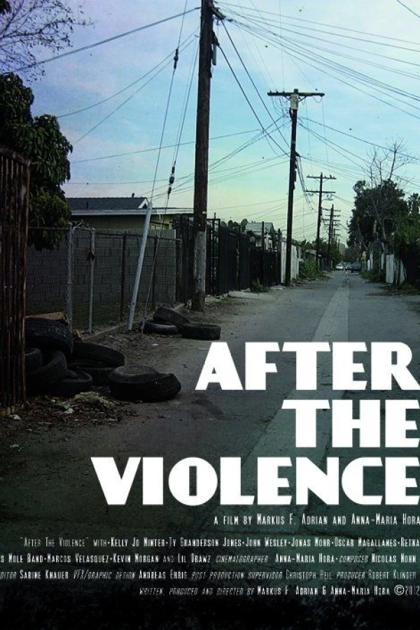 After the Violence Poster