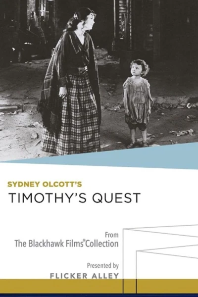 Timothy's Quest