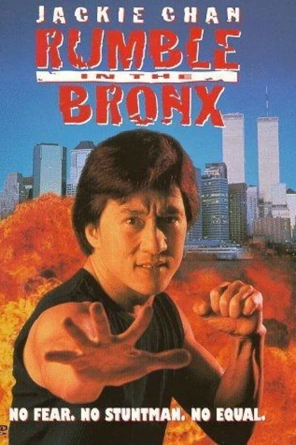 Rumble in the Bronx Poster