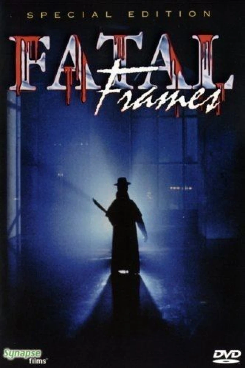 Fatal frames Poster