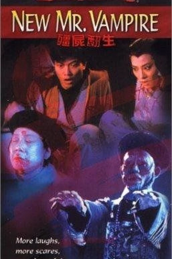 Kung Fu Vampire Buster Poster
