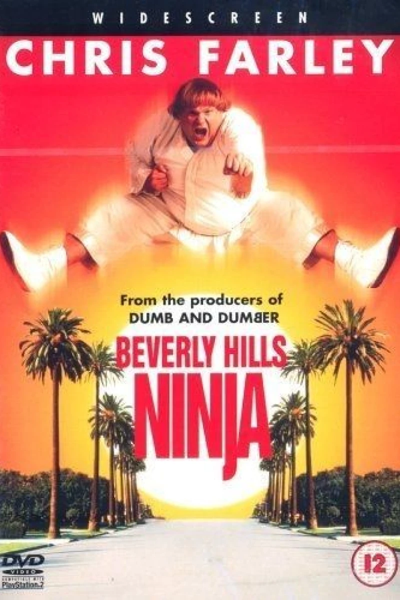 Beverly Hills Ninja Poster