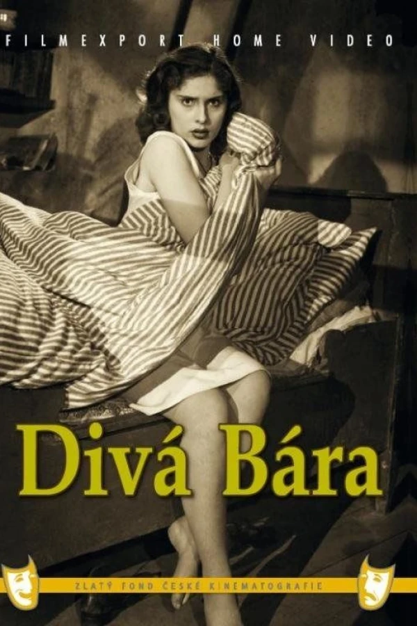 Wild Barbara Poster