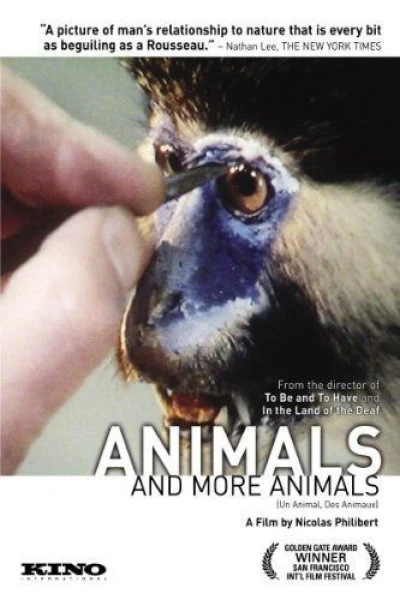 Animals and More Animals