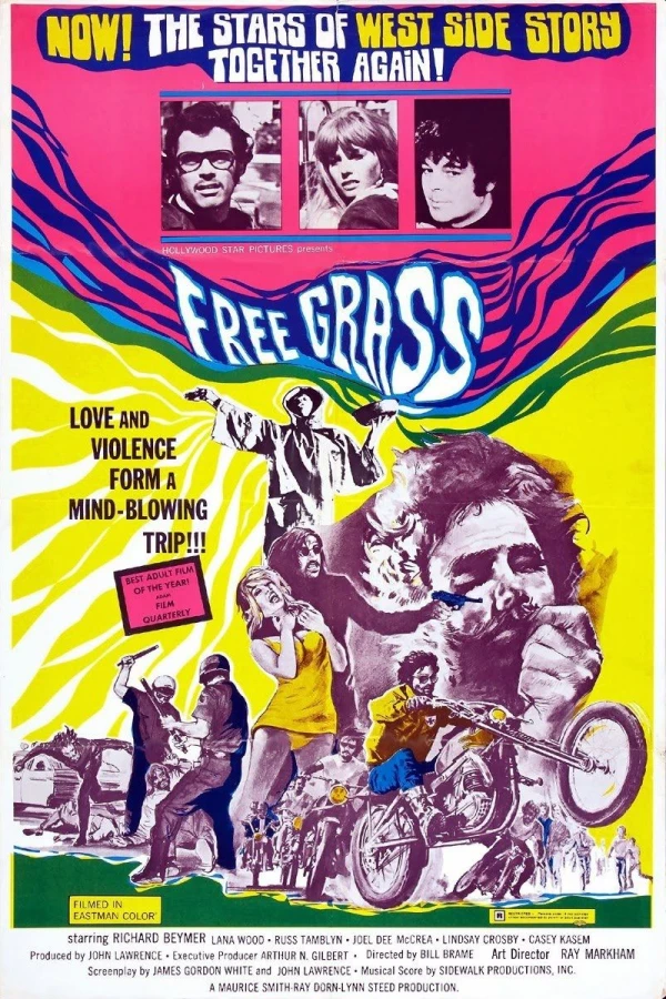 Street Drugs Poster