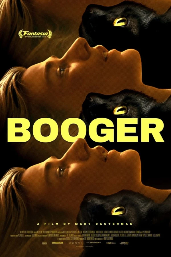 Booger Poster