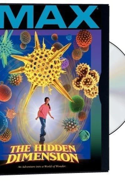 The Hidden Dimension