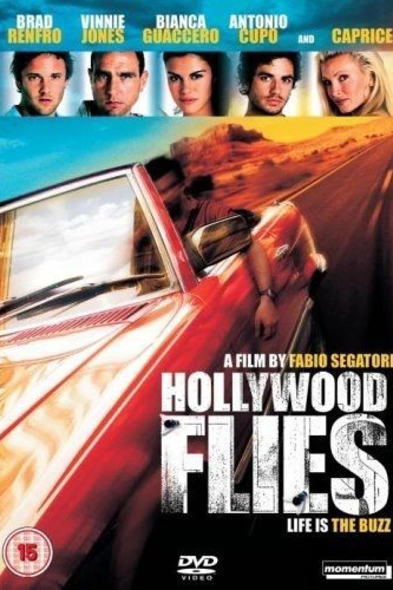 Hollywood Flies Poster