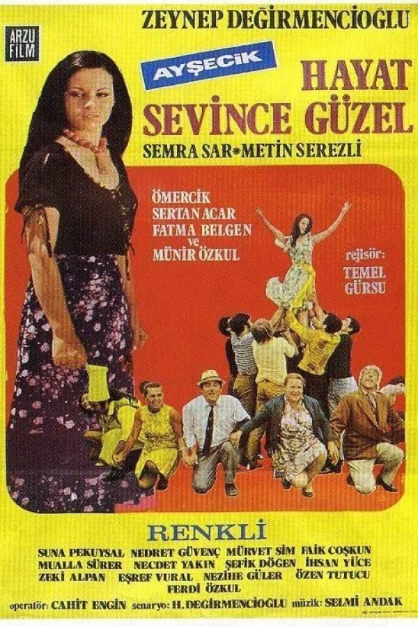 Hayat sevince güzel Poster