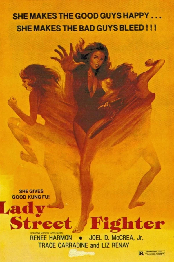 Lady Street Fighter Poster