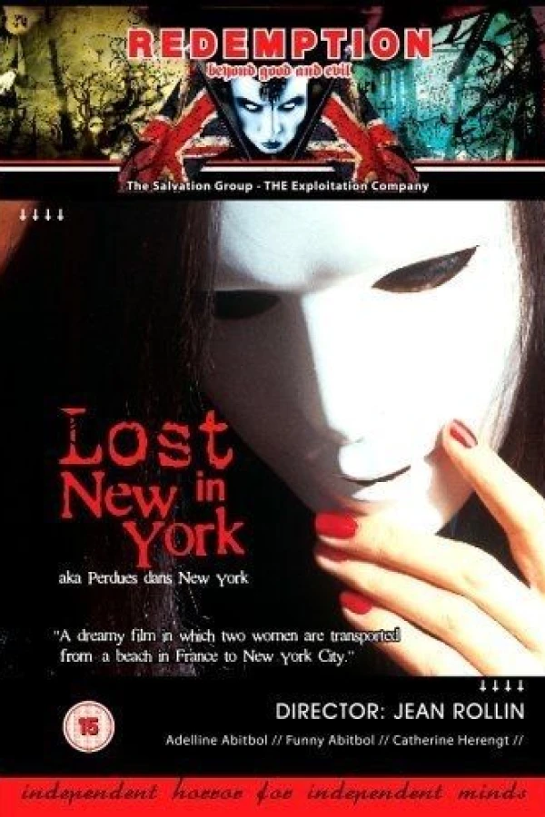 Lost in New York Poster