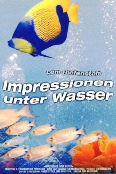 Underwater Impressions