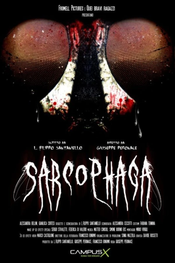 Sarcophaga Poster