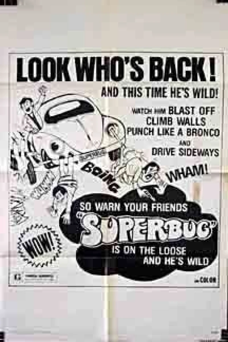 The Super Bug Rally Poster