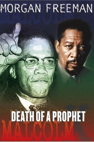Last Days of Malcolm X
