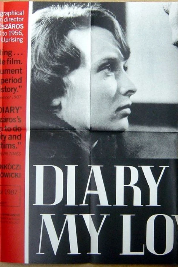 Diary for My Loved Ones Poster