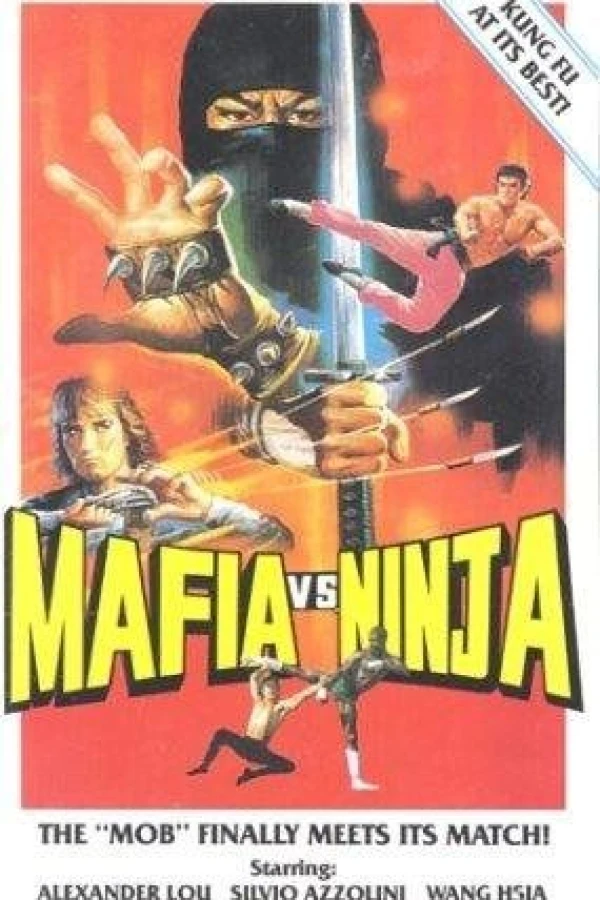 Secret of Ninja Poster