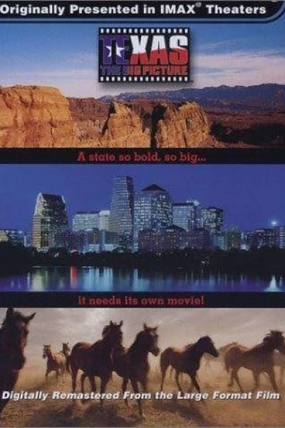 Texas: The Big Picture